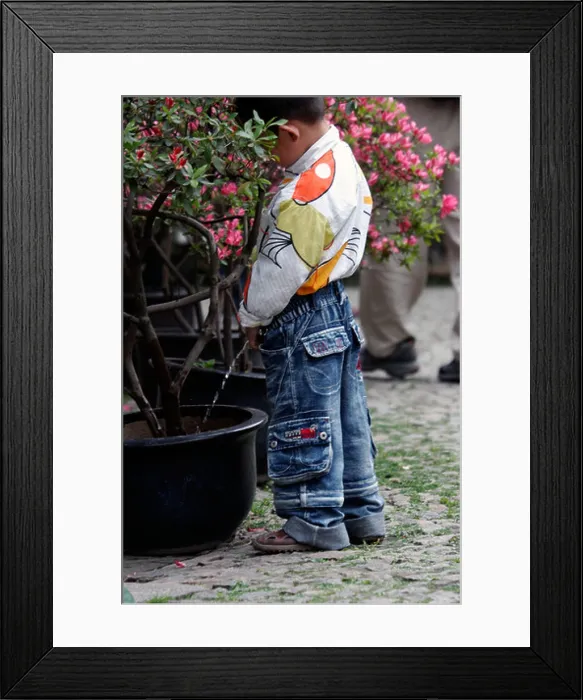 Framed Print : A Chinese youth uses a flowerpot as a urinal in a park Framed Print : A Chinese youth uses a flowerpot as a urinal in a park