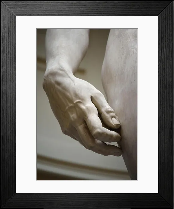 Framed Print : Florence. Italy. Michelangelo's statue of David (1501-1504) Framed Print : Florence. Italy. Michelangelo's statue of David (1501-1504)