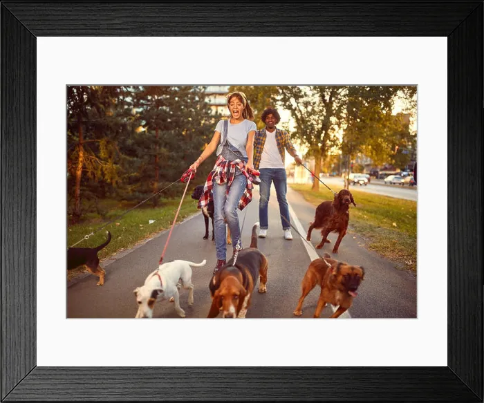 Framed Print : Professional Dog Walker - funny walking with with dogs outdoors Framed Print : Professional Dog Walker - funny walking with with dogs outdoors