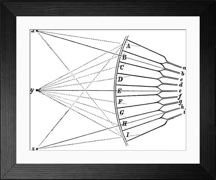 Framed Print : The crayfish : an introduction to the study of zoology Framed Print : The crayfish : an introduction to the study of zoology
