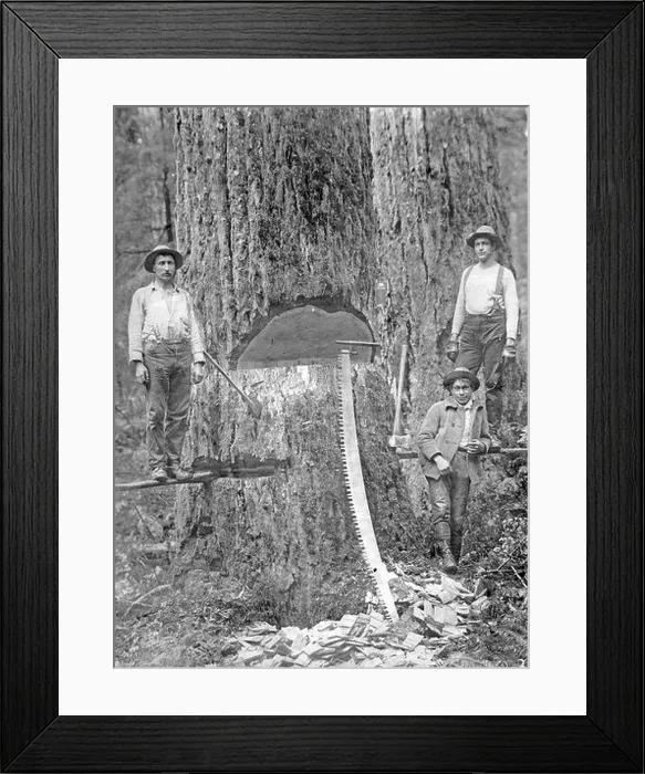 Framed Print : This black-and-white photograph from the Gerald W Framed Print : This black-and-white photograph from the Gerald W