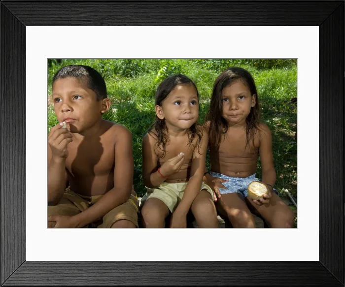 Framed Print : Children eating Cacaurana fruits, Boa Esperanca, Amazonas, Brazil Framed Print : Children eating Cacaurana fruits, Boa Esperanca, Amazonas, Brazil