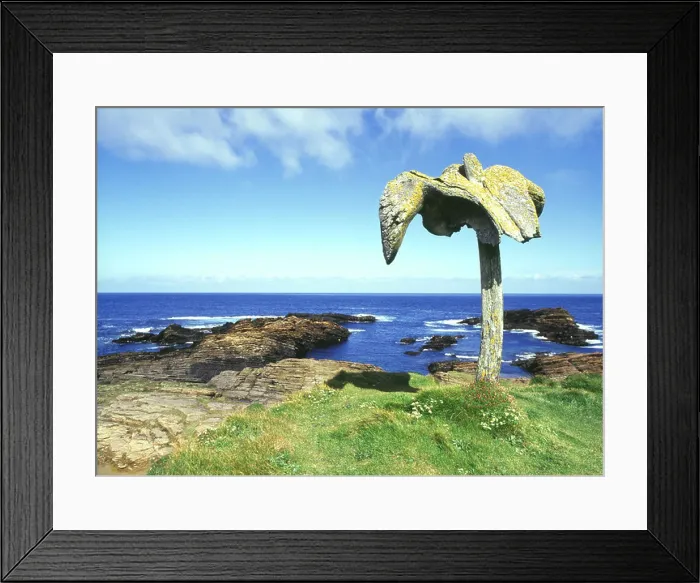 Framed Print : dh Whale bone BIRSAY ORKNEY Whale bone skeleton sculpture art scotland whalebone
