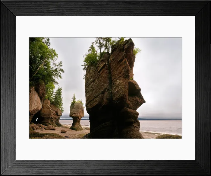 Framed Print : Face of ET and Motherinlaw sea stacks at Hopewell Rocks Bay of Fundy New Brunswick Canada Framed Print : Face of ET and Motherinlaw sea stacks at Hopewell Rocks Bay of Fundy New Brunswick Canada