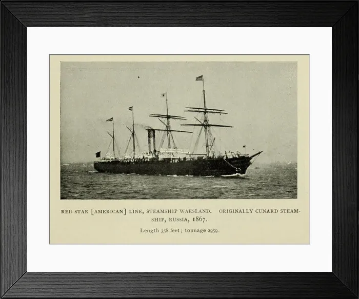 Framed Print : Red Star [American] Line, Steamship