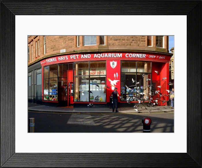 Framed Print : thomas hays pet shop aquarium corner glasgow uk