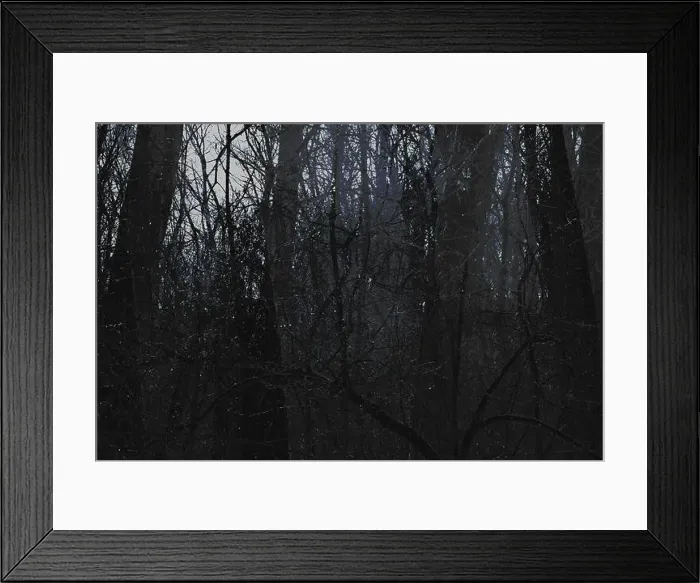 Framed Print : Dark horror forest, abstract photography, Atmospheric Black Metal forest, foggy dark spooky forest, horror mood Framed Print : Dark horror forest, abstract photography, Atmospheric Black Metal forest, foggy dark spooky forest, horror mood