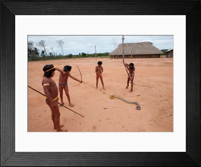 Framed Print : Xingu indians hunting in the Amazone, Brazil Framed Print : Xingu indians hunting in the Amazone, Brazil