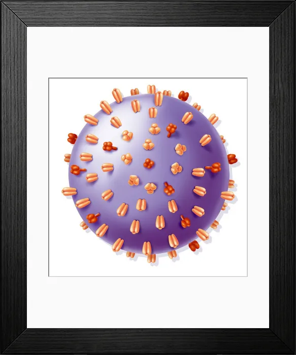 Framed Print : Influenza virus, drawing Framed Print : Influenza virus, drawing