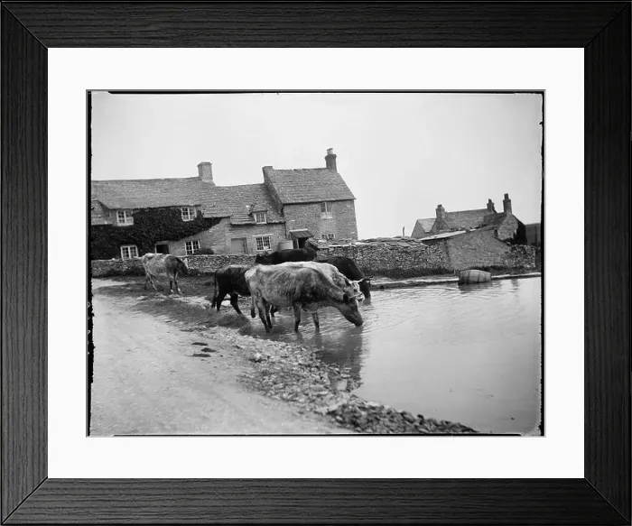 Framed Print : Worth Matravers, Purbeck, Dorset, 1927