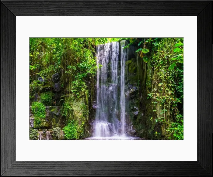 Framed Print : streaming waterfall with many plants in a jungle scenery, beautiful nature background