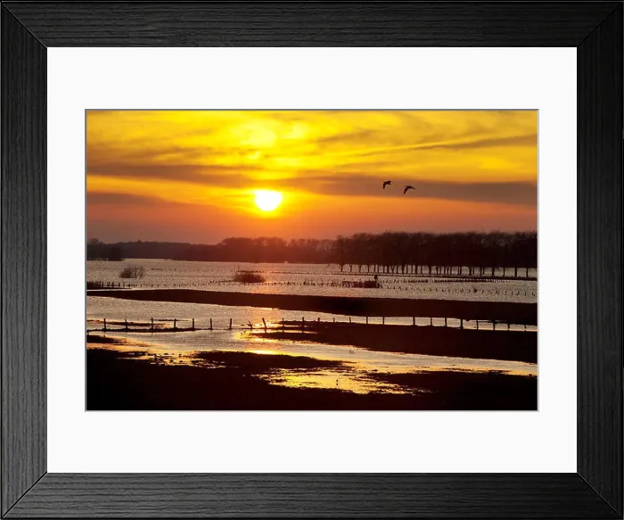 Framed Print : nature conservation area Bislicher Insel at high watermark Framed Print : nature conservation area Bislicher Insel at high watermark