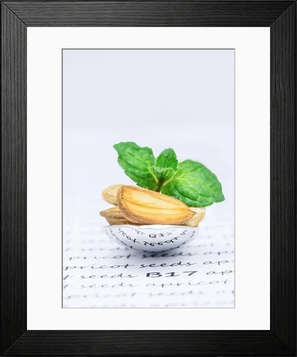 Framed Print : Dry apricot seeds and green leaf Framed Print : Dry apricot seeds and green leaf