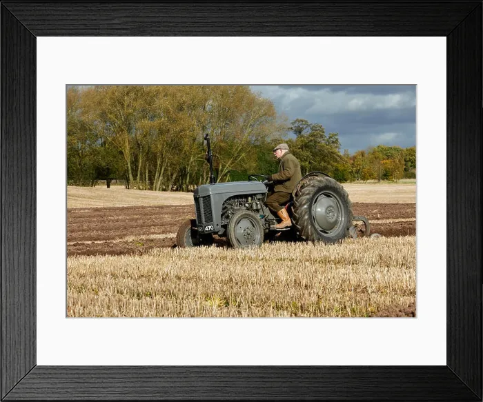 Framed Print : Massey Ferguson TE20 Little Grey Fergie Ploughing Stubble Field UK Framed Print : Massey Ferguson TE20 Little Grey Fergie Ploughing Stubble Field UK