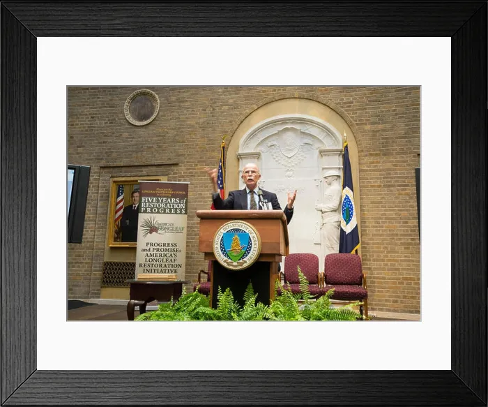 Framed Print : The USDA's Longleaf Restoration Initiative focuses on restoring the longleaf pine ecosystem Framed Print : The USDA's Longleaf Restoration Initiative focuses on restoring the longleaf pine ecosystem
