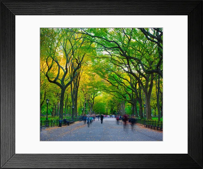 Framed Print : The Mall and Literary Walk, Central Park Framed Print : The Mall and Literary Walk, Central Park