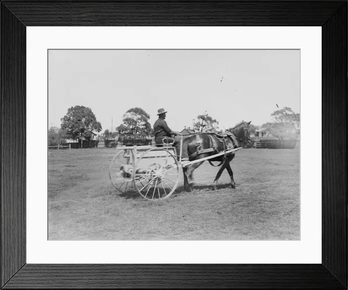 Framed Print : 61 Horsedrawn ground driven fertiliser spreader with driver (5570144343) Framed Print : 61 Horsedrawn ground driven fertiliser spreader with driver (5570144343)