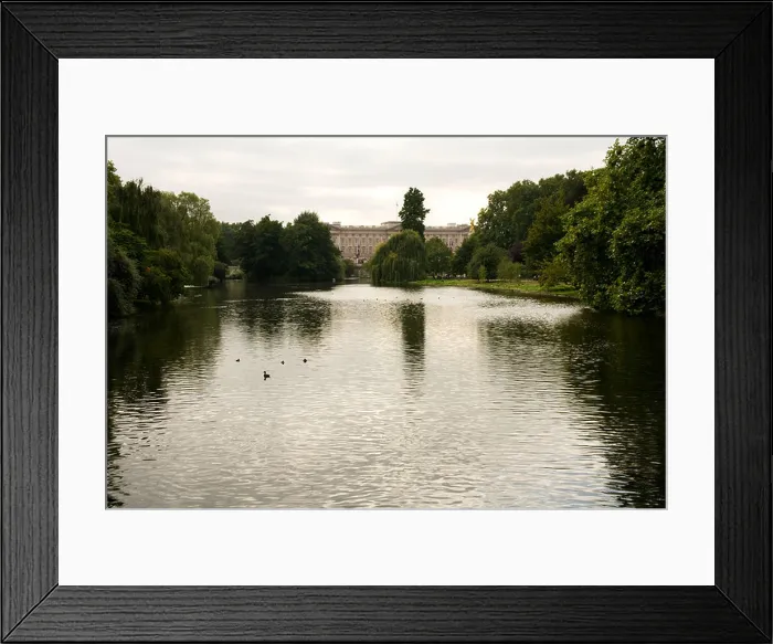 Framed Print : Buckingham Palace viewed across the lake in St James's Park, London, England Framed Print : Buckingham Palace viewed across the lake in St James's Park, London, England