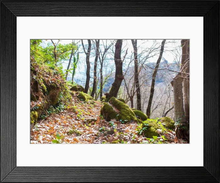 Framed Print : Nogaleas ravine track, famous Alta Extremadura Route. Jerte Valley, Navaconcejo, Caceres, Spain Framed Print : Nogaleas ravine track, famous Alta Extremadura Route. Jerte Valley, Navaconcejo, Caceres, Spain