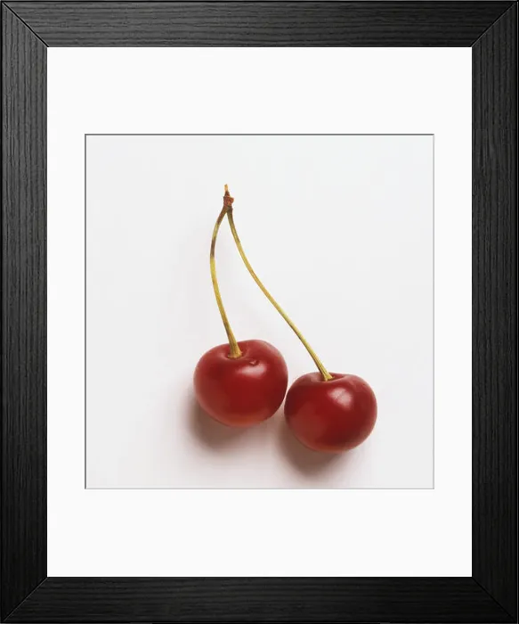 Framed Print : Cerasus sp. two red Duke Cherries Framed Print : Cerasus sp. two red Duke Cherries