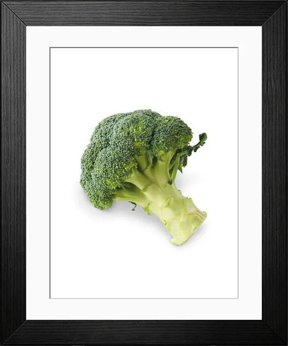 Framed Print : Broccoli Framed Print : Broccoli