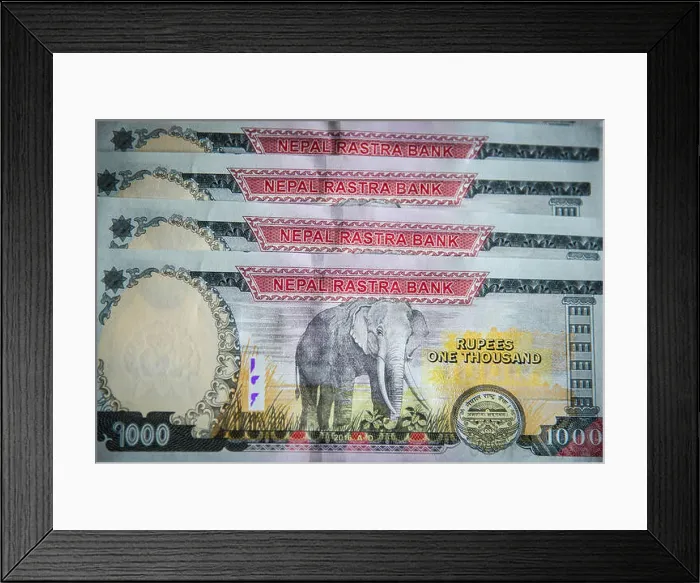 Framed Print : Nepalese banknotes (NPR) 1000 Rupees Framed Print : Nepalese banknotes (NPR) 1000 Rupees