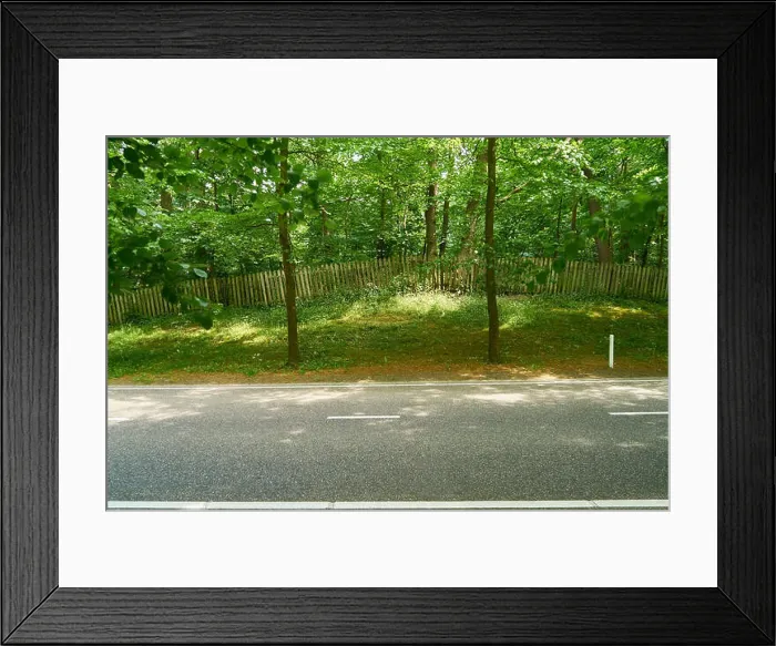 Framed Print : straight empty country road in front of a wooden fence on hill with trees Framed Print : straight empty country road in front of a wooden fence on hill with trees