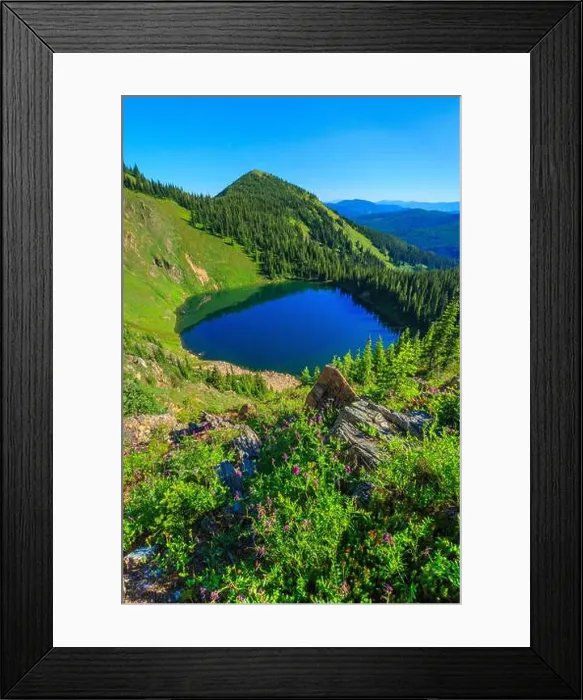 Framed Print : wildflowers above upper oregon lake viewed from the stateline trail in the bitterroot range near superior, montana