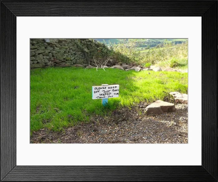 Framed Print : Please keep off the grass sign. Only just seeded Framed Print : Please keep off the grass sign. Only just seeded