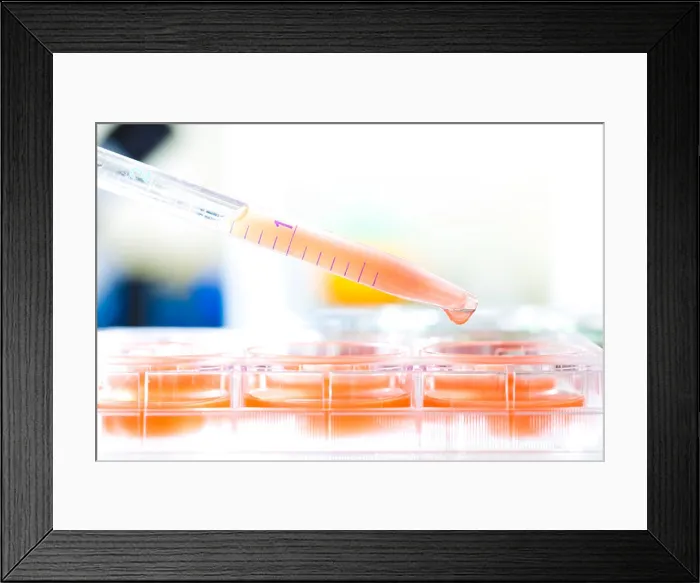 Framed Print : Biological research Framed Print : Biological research