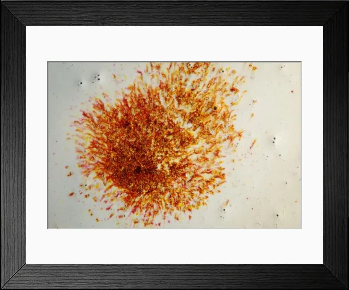 Framed Print : Autumn colors flow. Groceries Framed Print : Autumn colors flow. Groceries