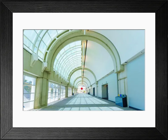 Framed Print : San Diego, California - April 17 Framed Print : San Diego, California - April 17