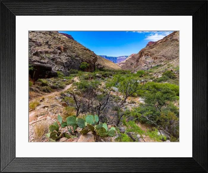 Framed Print : Descending Toward The Box on The North Kaibab Trail, Grand Canyon National Park, Arizona, USA Framed Print : Descending Toward The Box on The North Kaibab Trail, Grand Canyon National Park, Arizona, USA