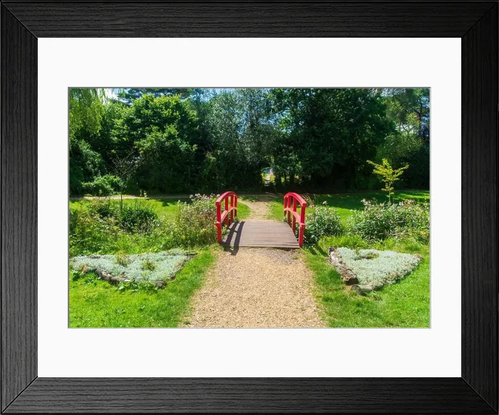Framed Print : Coy Pond Gardens, Poole, UK - July 10th 2024: Red footbridge crossing the Bourne Stream in the Grade II listed gardens Framed Print : Coy Pond Gardens, Poole, UK - July 10th 2024: Red footbridge crossing the Bourne Stream in the Grade II listed gardens