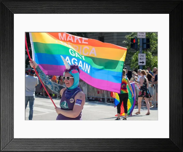 Framed Print : Rainbow flag bears the slogan Make America Gay Again, at the 20107 DC Pride parade Framed Print : Rainbow flag bears the slogan Make America Gay Again, at the 20107 DC Pride parade
