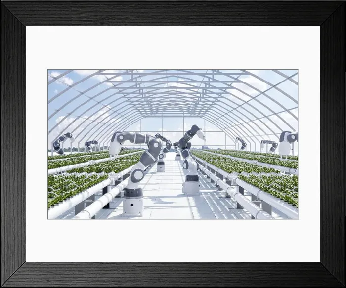 Framed Print : Smart farm with robot hands growing and harvesting vegetables in greenhouse with sky background Framed Print : Smart farm with robot hands growing and harvesting vegetables in greenhouse with sky background