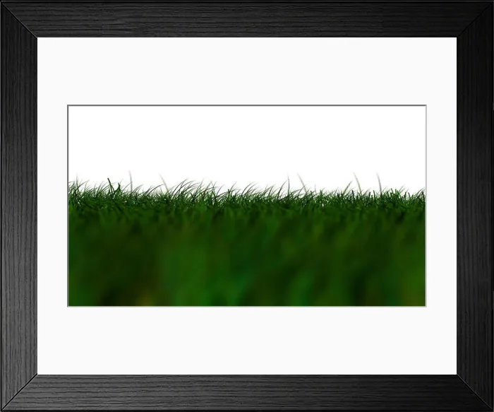 Framed Print : Grass Isolated, dark green low Angle Framed Print : Grass Isolated, dark green low Angle