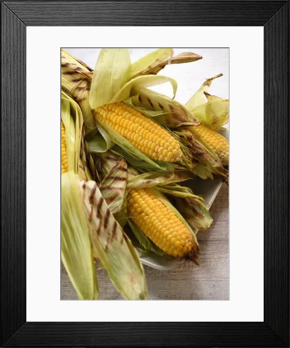 Framed Print : Delicate, juicy corn on the cob in husk cooked grilled Framed Print : Delicate, juicy corn on the cob in husk cooked grilled
