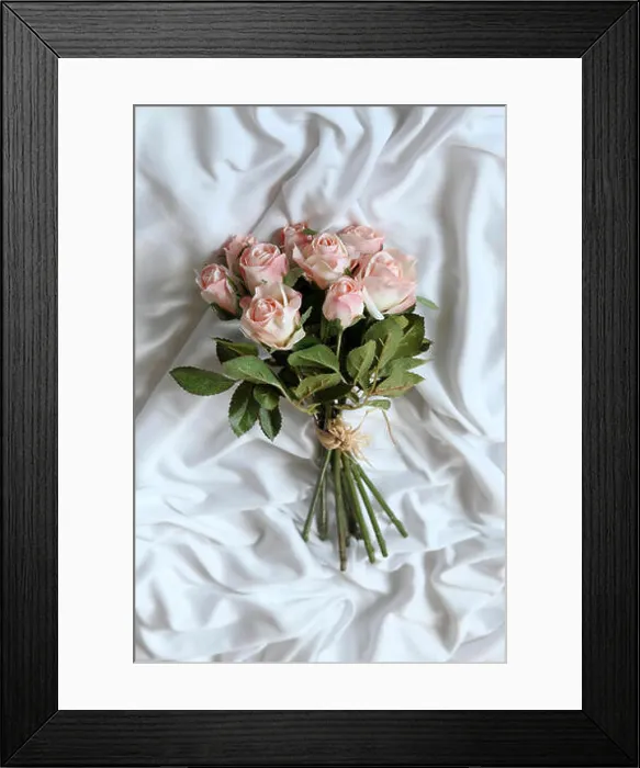 Framed Print : Pink Roses Silk flower on white background Framed Print : Pink Roses Silk flower on white background