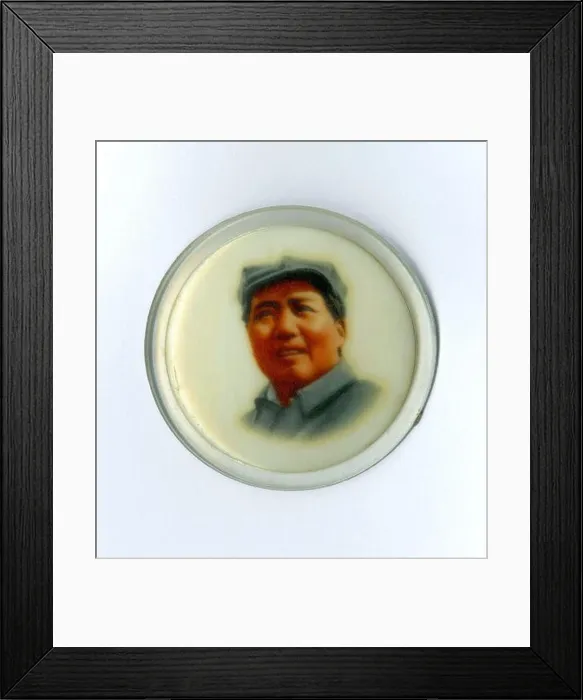 Framed Print : Souvenir Mao Tse Tung pin from China Framed Print : Souvenir Mao Tse Tung pin from China