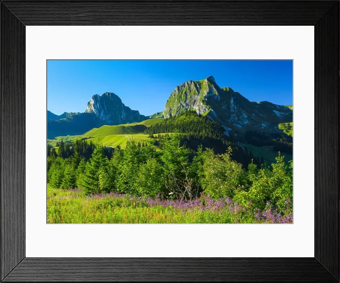 Framed Print : Nünenen mountain - 2101 ms, Gantrisch - 2175 ms, canton of Berne, Switzerland Framed Print : Nünenen mountain - 2101 ms, Gantrisch - 2175 ms, canton of Berne, Switzerland