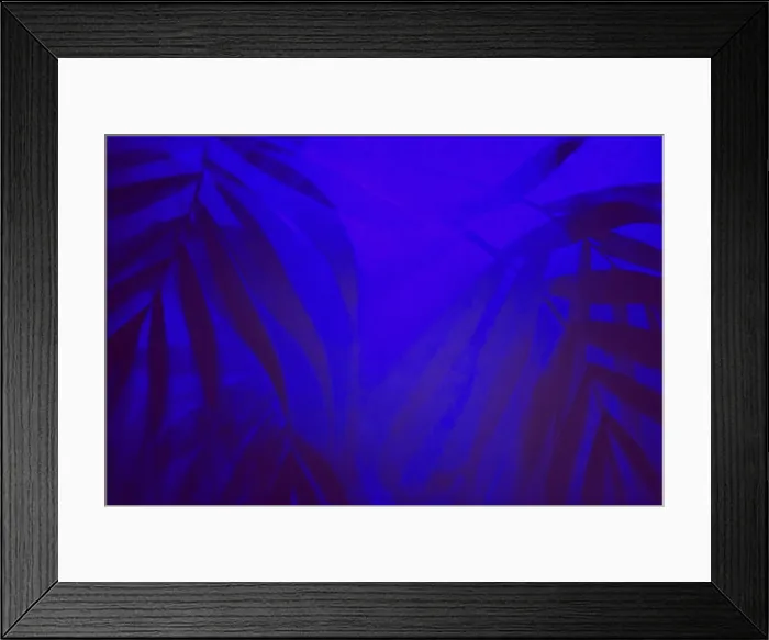 Framed Print : Tropical background with palm leaves shadows in ultraviolet light Framed Print : Tropical background with palm leaves shadows in ultraviolet light
