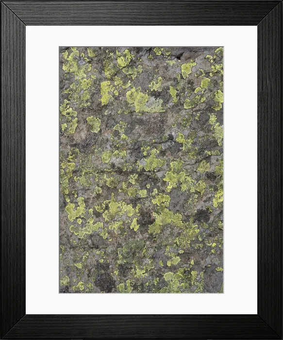 Framed Print : Rocks covered with algae  /  lichen on the Glyders mountain range in Snowdonia, North Wales
