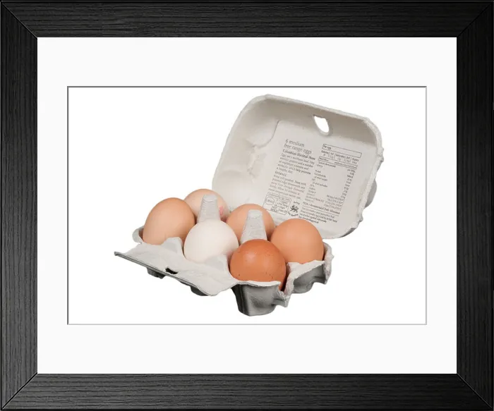 Framed Print : Box of Eggs Open on a White Background Framed Print : Box of Eggs Open on a White Background