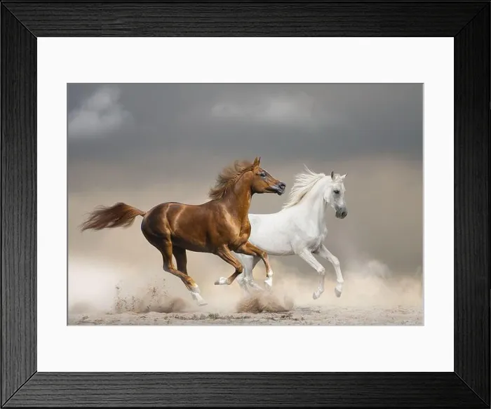Framed Print : Arabian horses running wild against the stormy skies in desert Framed Print : Arabian horses running wild against the stormy skies in desert