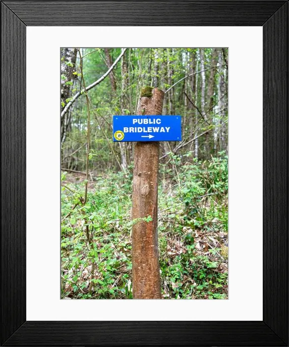 Framed Print : Public bridleway sign attached to a wooden post in woodland Framed Print : Public bridleway sign attached to a wooden post in woodland