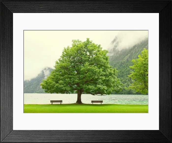 Framed Print : Empty bench at autumn mountain lake Framed Print : Empty bench at autumn mountain lake