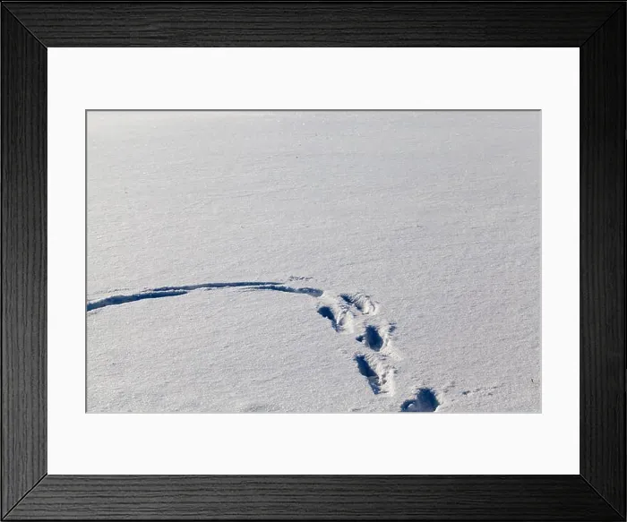 Framed Print : winter season with snow with damage Framed Print : winter season with snow with damage