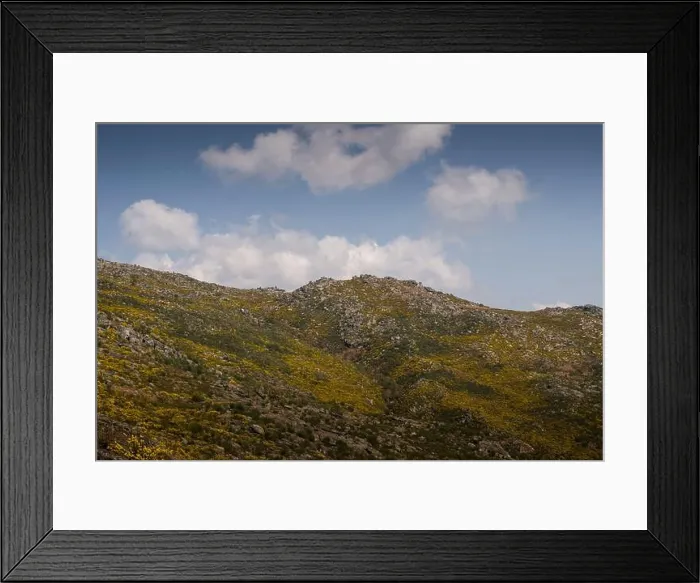 Framed Print : Harmonious view of mountain range covered with colorful spring vegetation under a blue cloudy sky Framed Print : Harmonious view of mountain range covered with colorful spring vegetation under a blue cloudy sky