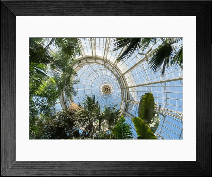 Framed Print : Looking upwards at glass roof of the pavilion of Enid A Framed Print : Looking upwards at glass roof of the pavilion of Enid A